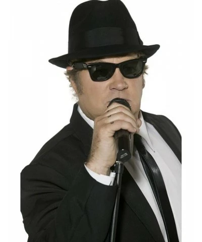 Blues Brothers Sunglasses
