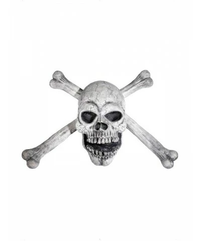 Skull and Bones Prop