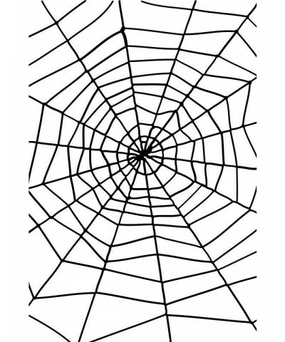 Spiders Web