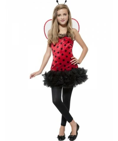Miss Ladybird Costume