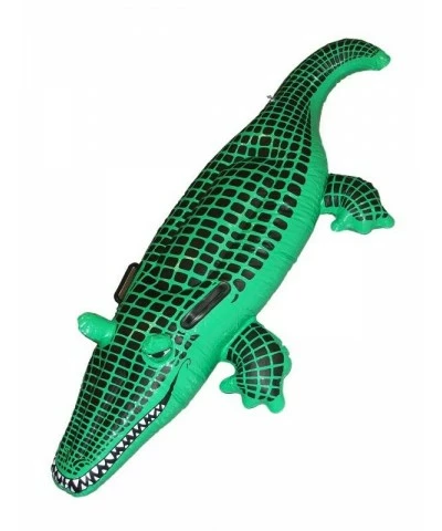 Crocodile
