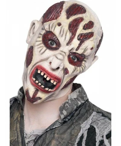 Rotten Zombie Mask