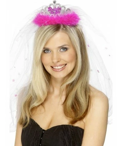 Bride to Be Tiara and Veil