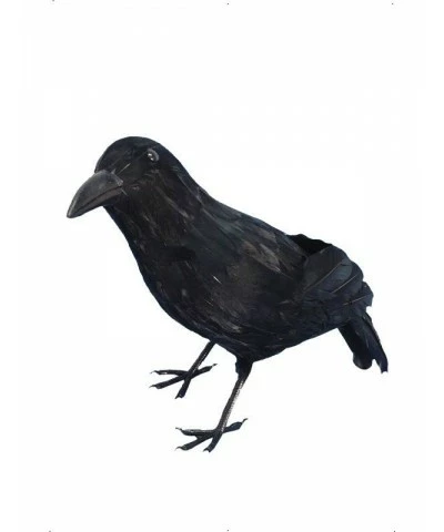 Crow