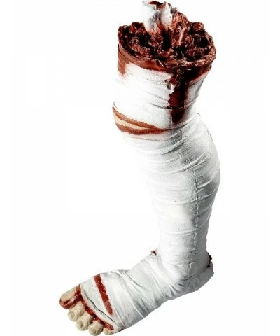 Dismembered Mummy Leg