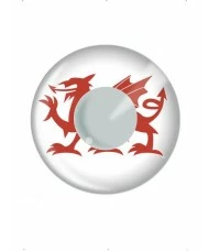 Welsh Dragon