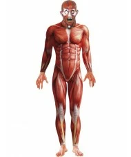 Anatomy Man Costume