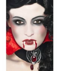 Vampire Make Up Set