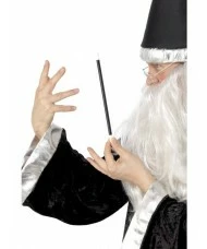 Magicians Wand