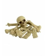 Bag of Bones in Net Bag