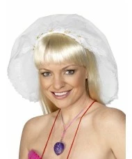 Hen Night Veil