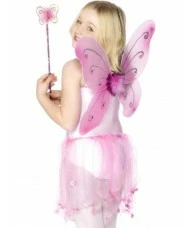 Pink Butterfly Wings