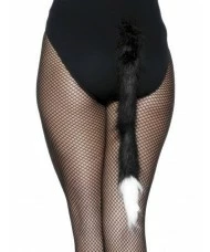 Cat's Tail