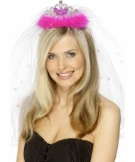 Bride to Be Tiara and Veil