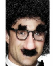 Groucho Specs