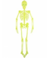 Skeleton Hanging Decoration