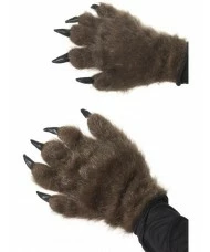 Hairy Monster Hands