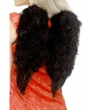 Feather Angel Wings