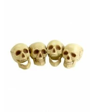 Skull Heads, 4 Pieces