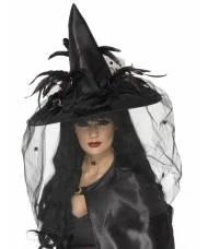 Witch Hat, Feathers and Netting