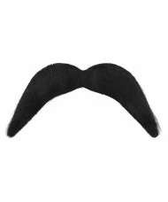 Mexican Style Mustache